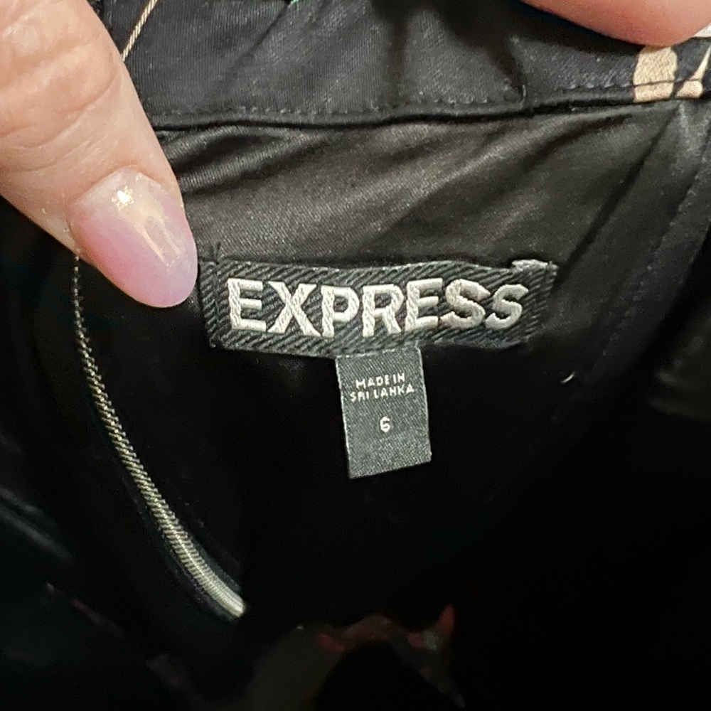 Express Spring Dress - Picture 6 of 6